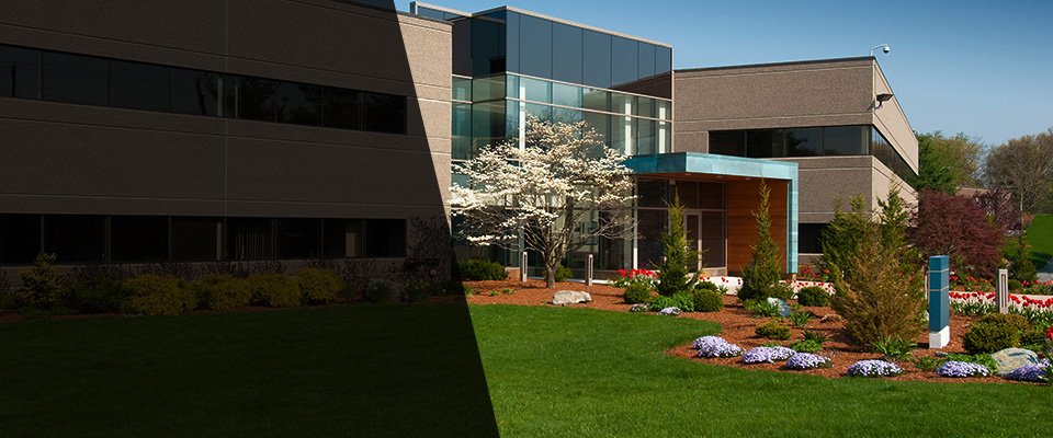 Moraga Landscapers