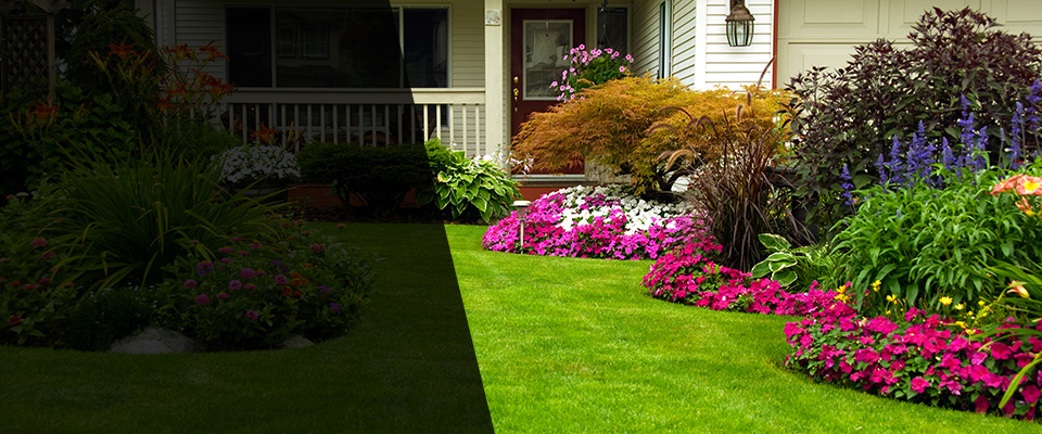 Moraga Landscapers