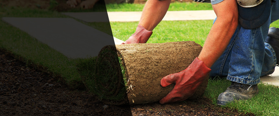Moraga Landscapers